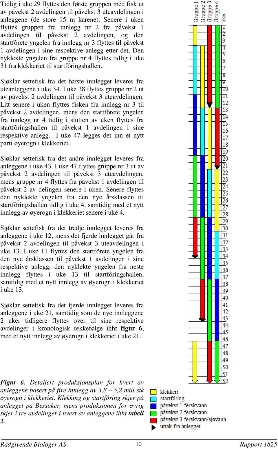 etter det. Den nyklekte yngelen fra gruppe nr 4 flyttes tidlig i uke 31 fra klekkeriet til startfôringshallen. Sjøklar settefisk fra det første innlegget leveres fra uteanleggene i uke 34.