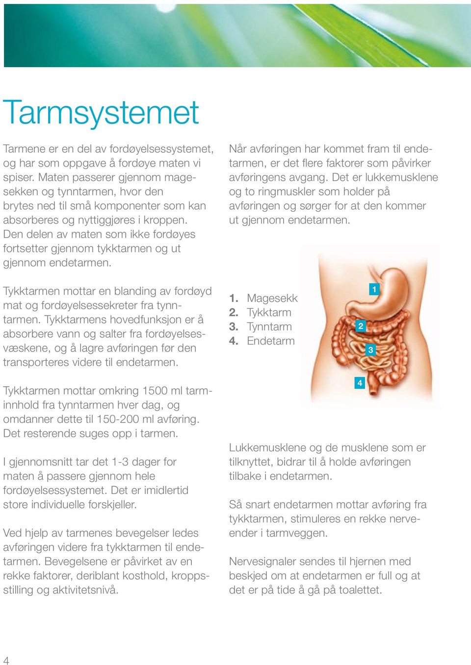 Den delen av maten som ikke fordøyes fortsetter gjennom tykktarmen og ut gjennom endetarmen. Når avføringen har kommet fram til endetarmen, er det flere faktorer som påvirker avføringens avgang.