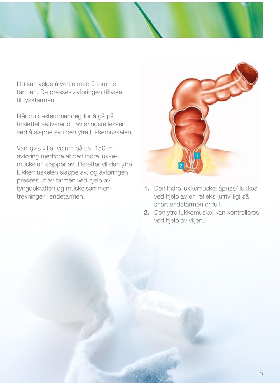 150 ml avføring medføre at den indre lukkemuskelen slapper av.