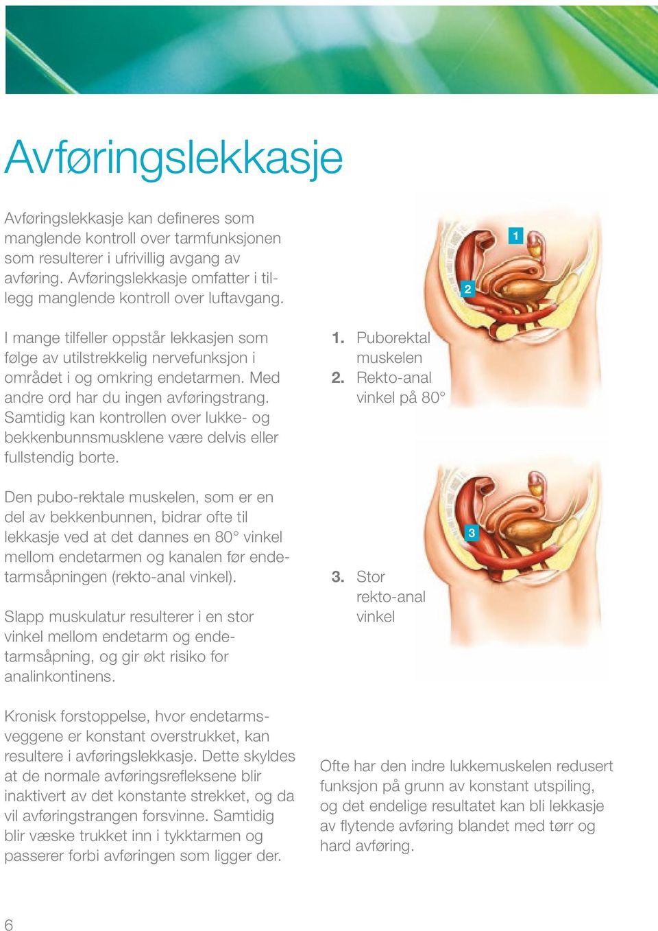 Med andre ord har du ingen avføringstrang. Samtidig kan kontrollen over lukke- og bekkenbunnsmusklene være delvis eller fullstendig borte.