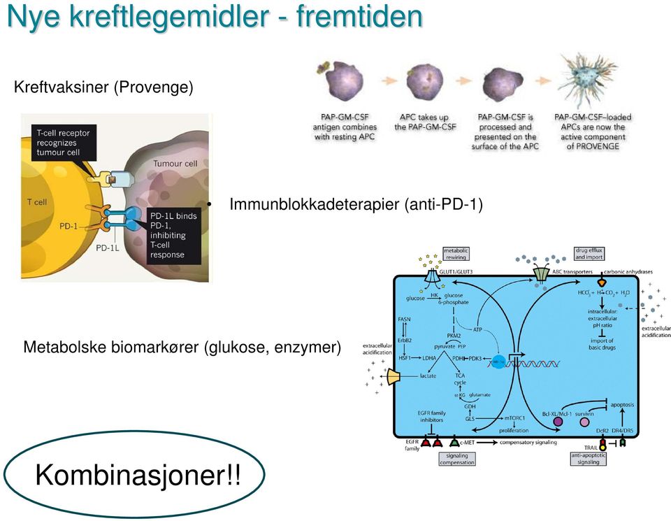 Immunblokkadeterapier (anti-pd-1)