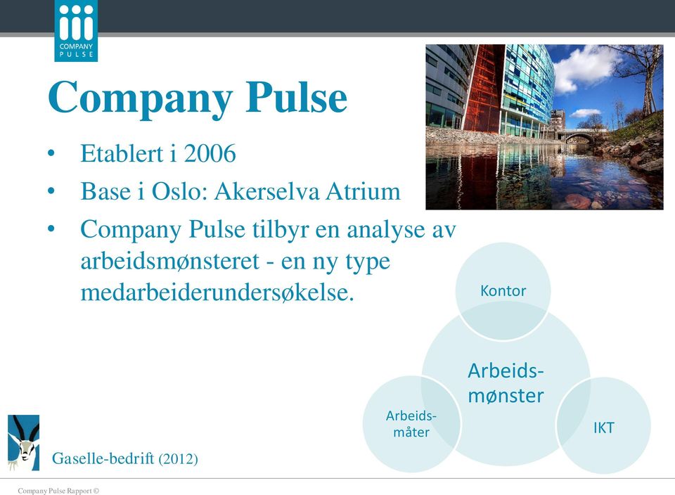 arbeidsmønsteret - en ny type