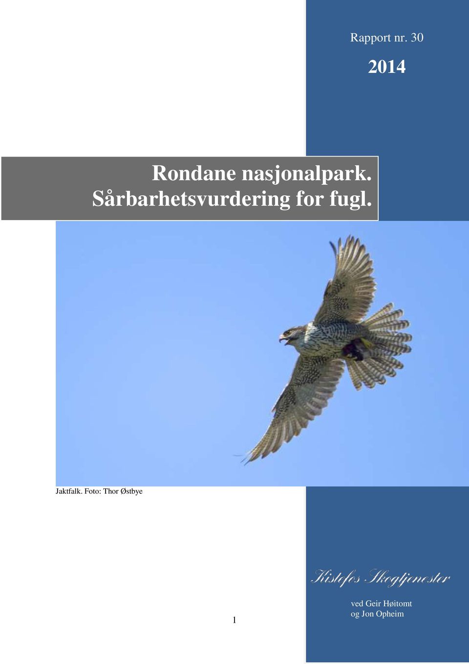 Sårbarhetsvurdering for fugl.