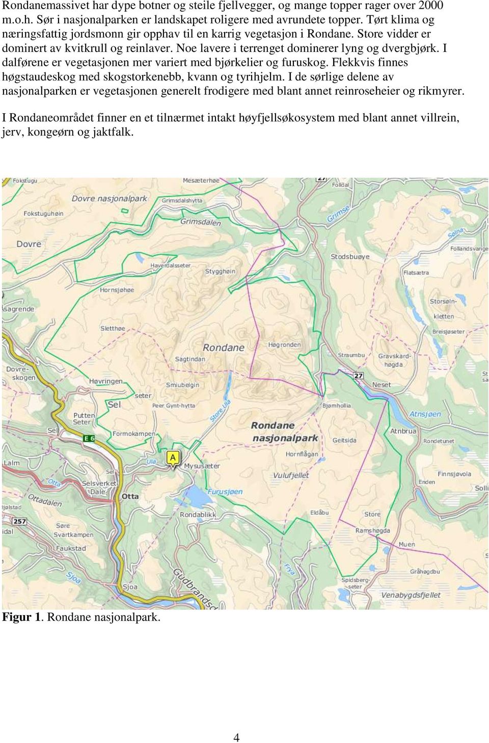 I dalførene er vegetasjonen mer variert med bjørkelier og furuskog. Flekkvis finnes høgstaudeskog med skogstorkenebb, kvann og tyrihjelm.