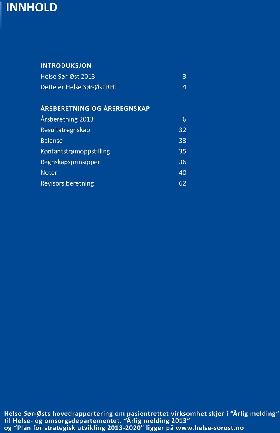 Revisors beretning 62 Helse Sør-Østs hovedrapportering om pasientrettet virksomhet skjer i Årlig melding til