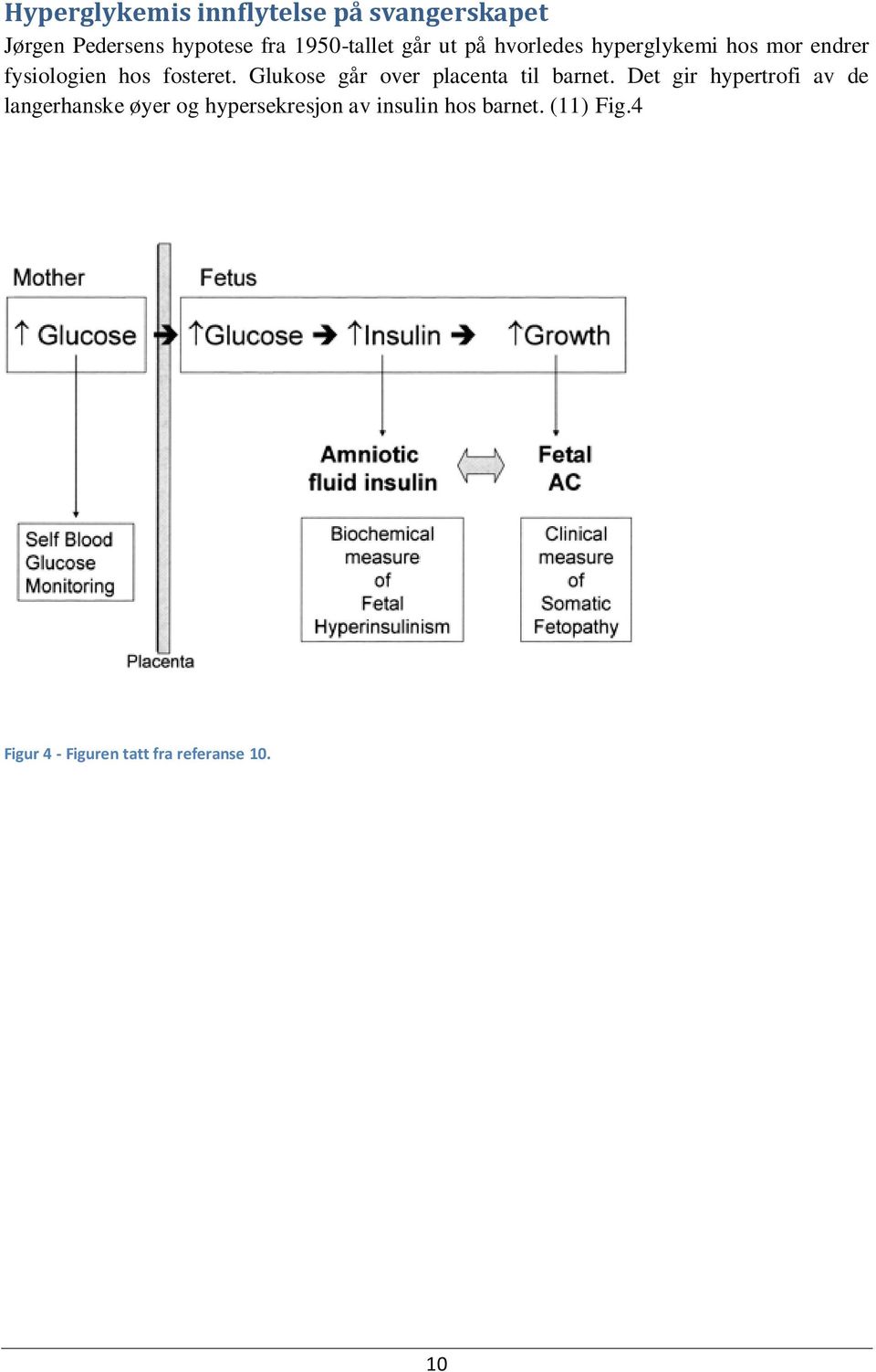 fosteret. Glukose går over placenta til barnet.