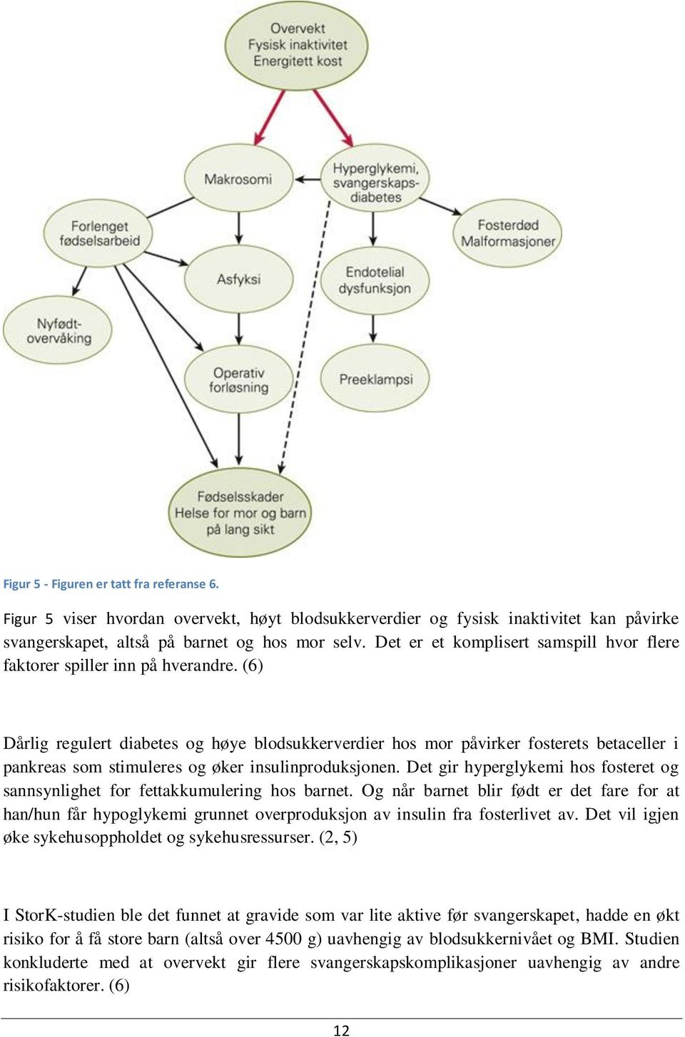 (6) Dårlig regulert diabetes og høye blodsukkerverdier hos mor påvirker fosterets betaceller i pankreas som stimuleres og øker insulinproduksjonen.