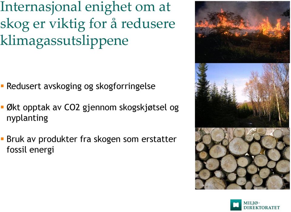 skogforringelse Økt opptak av CO2 gjennom skogskjøtsel