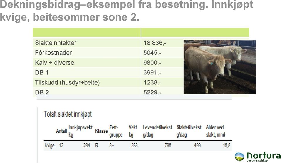 Slakteinntekter 18 836,- Fôrkostnader 5045,-