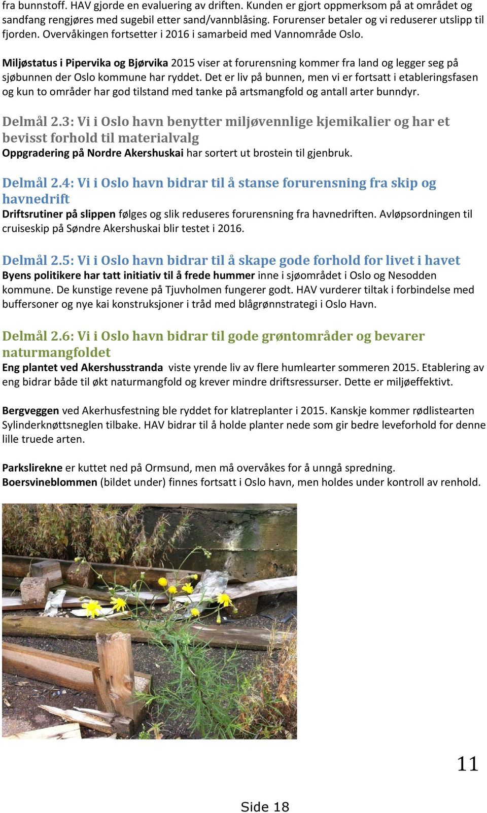 Miljøstatus i Pipervika og Bjørvika 2015 viser at forurensning kommer fra land og legger seg på sjøbunnen der Oslo kommune har ryddet.