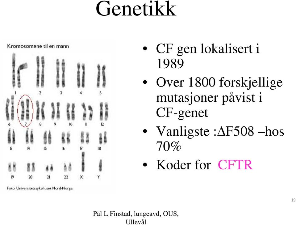 mutasjoner påvist i CF-genet