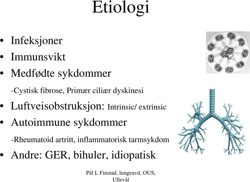 Luftveisobstruksjon: Intrinsic/ extrinsic Autoimmune