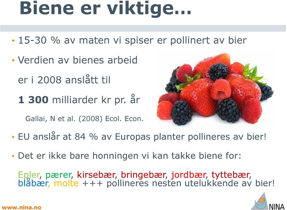 EU anslår at 84 % av Europas planter pollineres av bier!