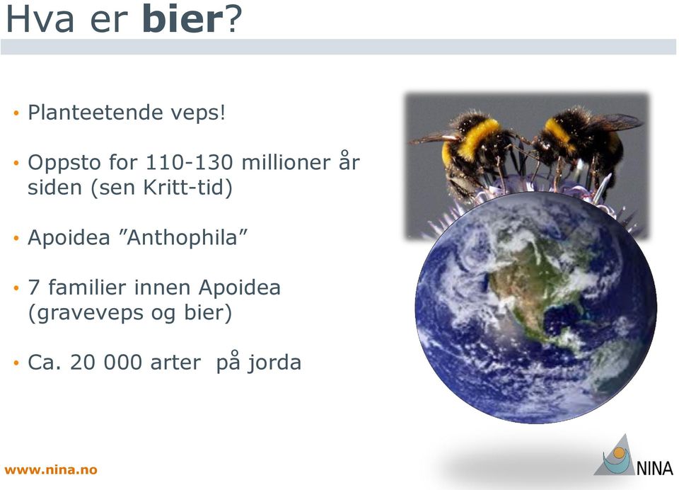 Kritt-tid) Apoidea Anthophila 7 familier