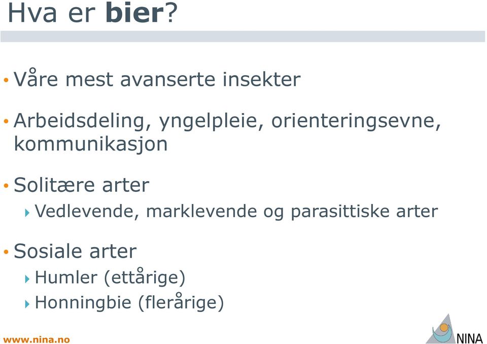 yngelpleie, orienteringsevne, kommunikasjon Solitære