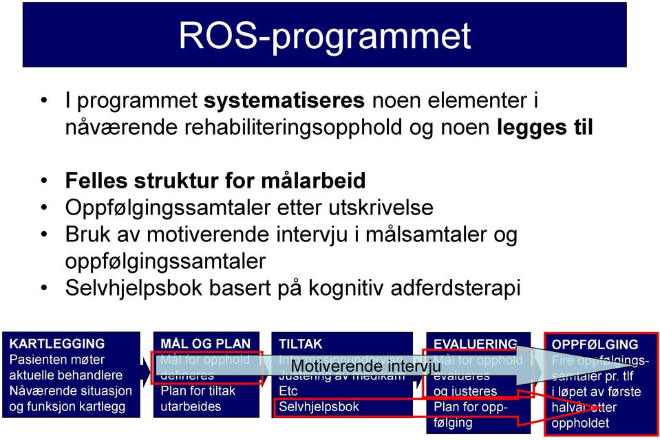 behandlere Nåværende situasjon og funksjon kartlegg MÅL OG PLAN Mål for opphold defineres Plan for tiltak utarbeides TILTAK Informasjonundervisn Justering av medikam Etc