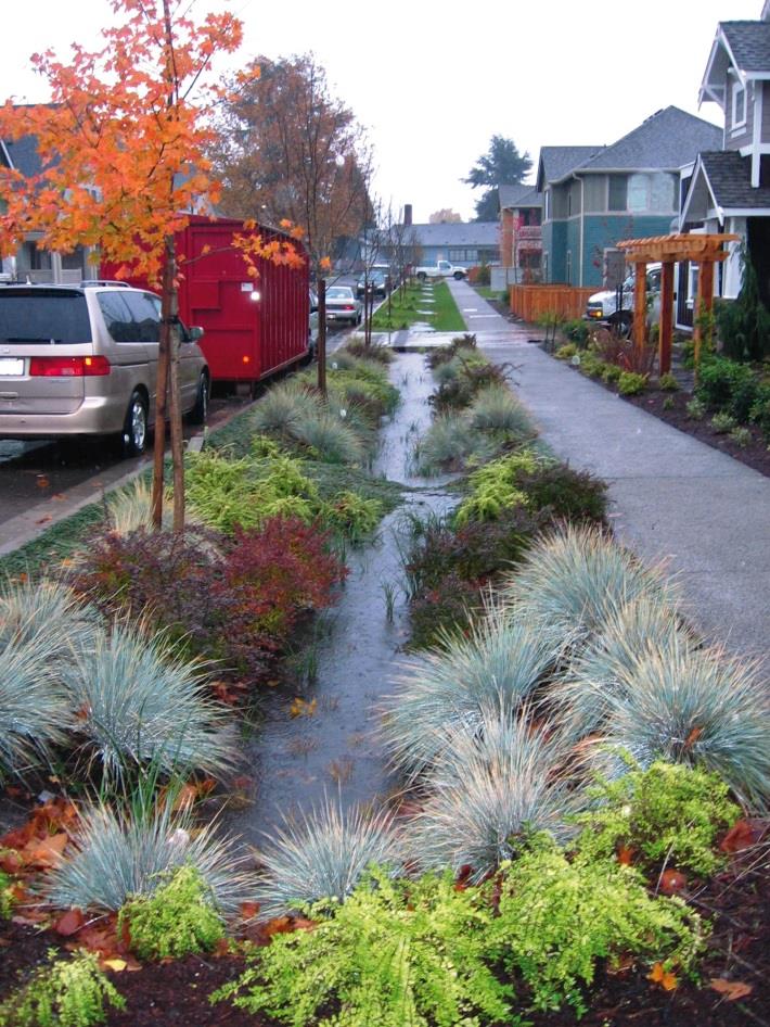 Flomveier Vegetated swale accepting parking lot runoff,