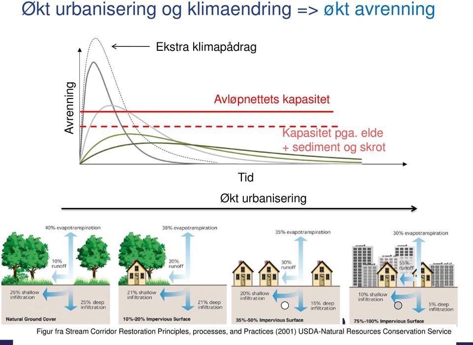 elde + sediment og skrot Figur fra Stream Corridor Restoration