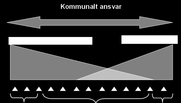 1. Innledning 1.