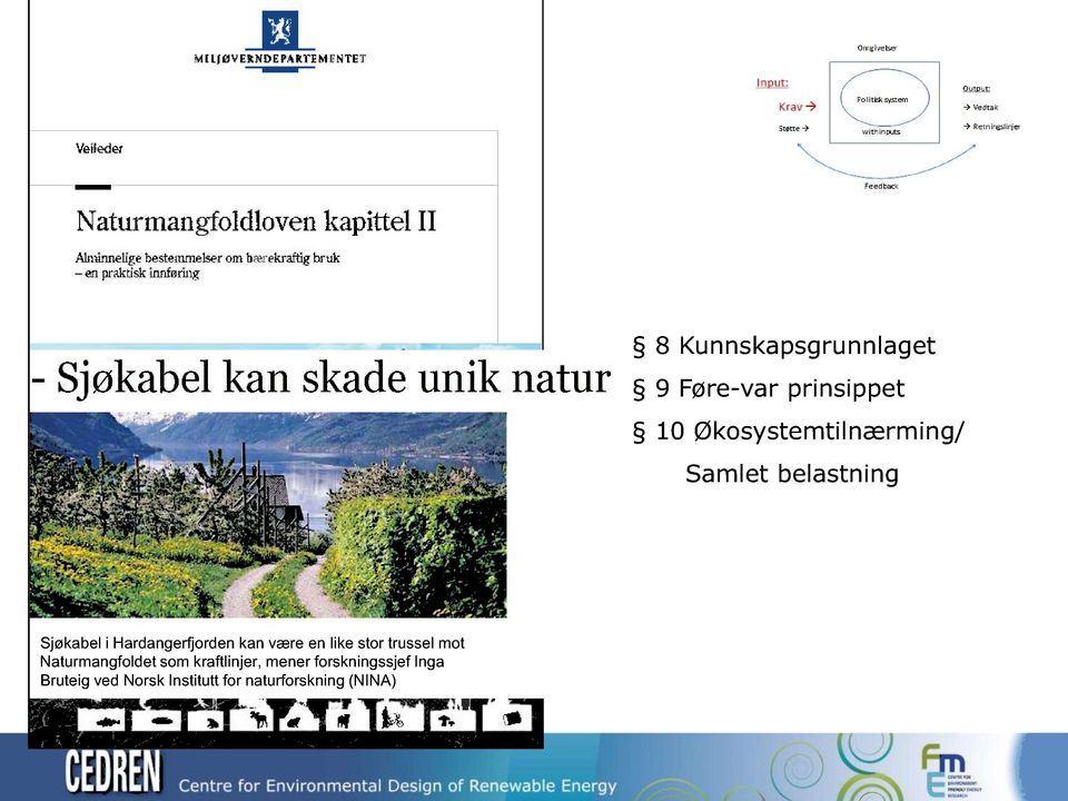 Hardangerfjorden kan være en like stor trussel mot