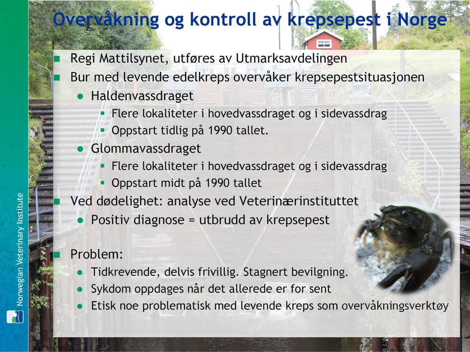 Glommavassdraget Flere lokaliteter i hovedvassdraget og i sidevassdrag Oppstart midt på 1990 tallet Ved dødelighet: analyse ved Veterinærinstituttet