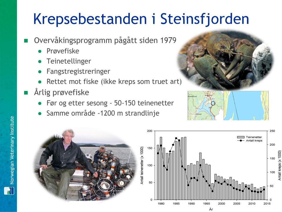 - 50-150 teinenetter Samme område -1200 m strandlinje 200 250 Teinenetter Antall kreps 200 Antall