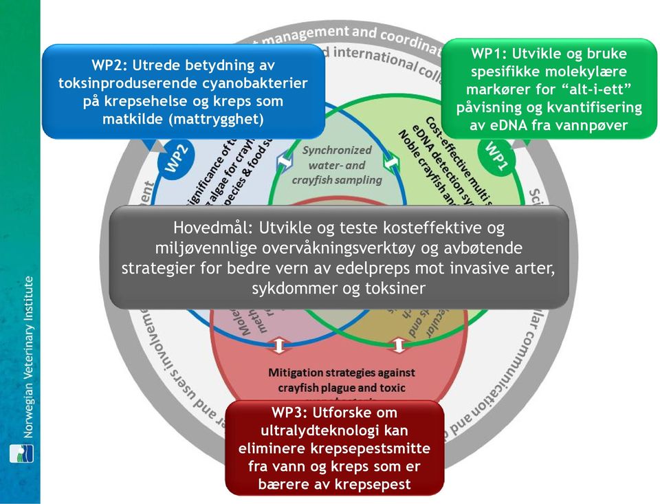 kosteffektive og miljøvennlige overvåkningsverktøy og avbøtende strategier for bedre vern av edelpreps mot invasive arter,