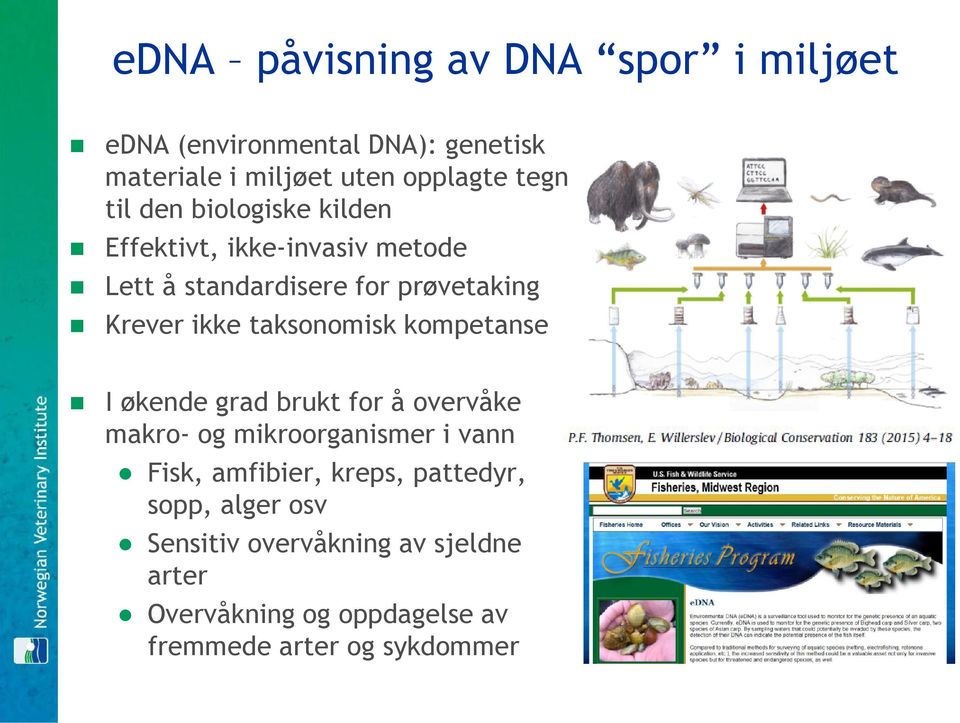 taksonomisk kompetanse I økende grad brukt for å overvåke makro- og mikroorganismer i vann Fisk, amfibier,