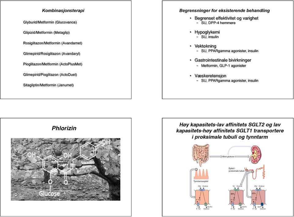 Metformin, GLP-1 agonister Glimepirid/Pioglitazon (AtoDuet) Væskeretensjon - SU, PPARgamma agonister, insulin Sitagliptin/Metformin (Janumet) Phlorizin OH OH Høy kapasitets-lav affinitets SGLT2 og