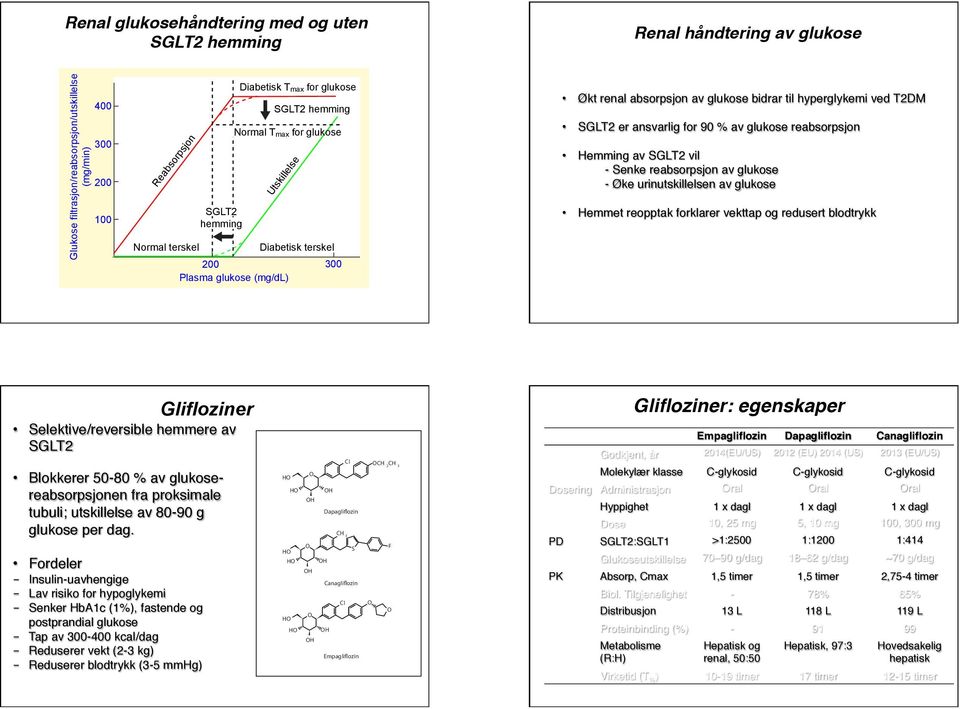 ansvarlig for 90 % av glukose reabsorpsjon Hemming av SGLT2 vil - Senke reabsorpsjon av glukose - Øke urinutskillelsen av glukose Hemmet reopptak forklarer vekttap og redusert blodtrykk Glifloziner
