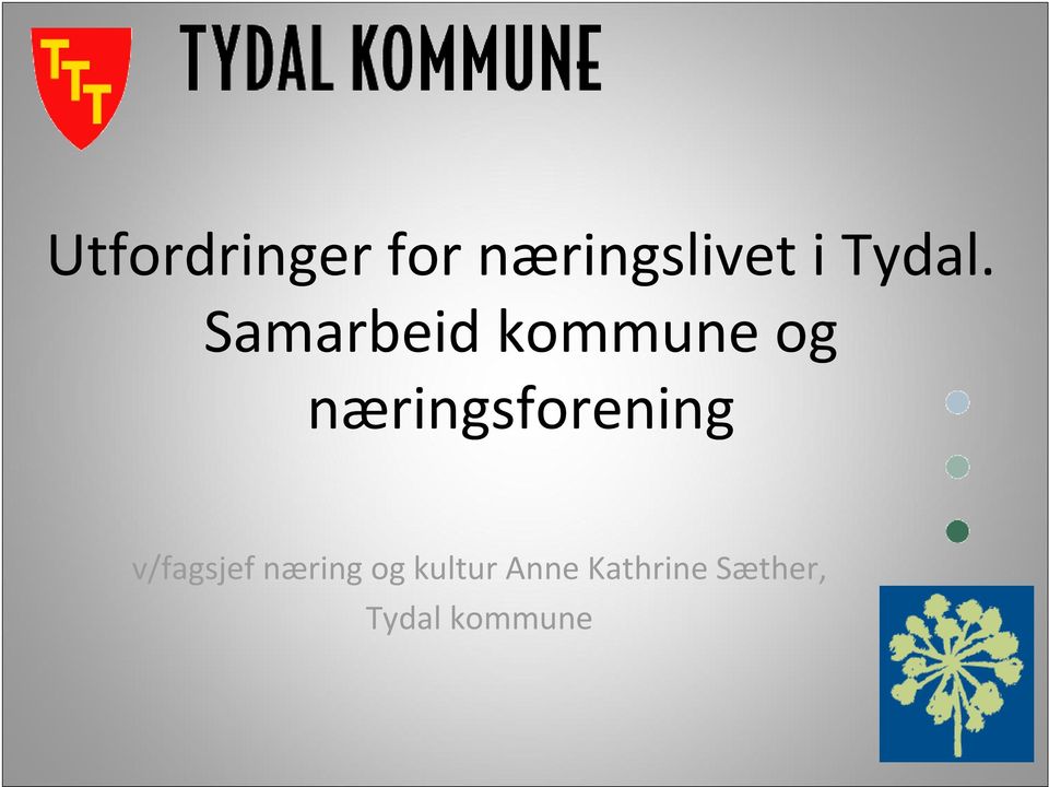 Samarbeid kommune og