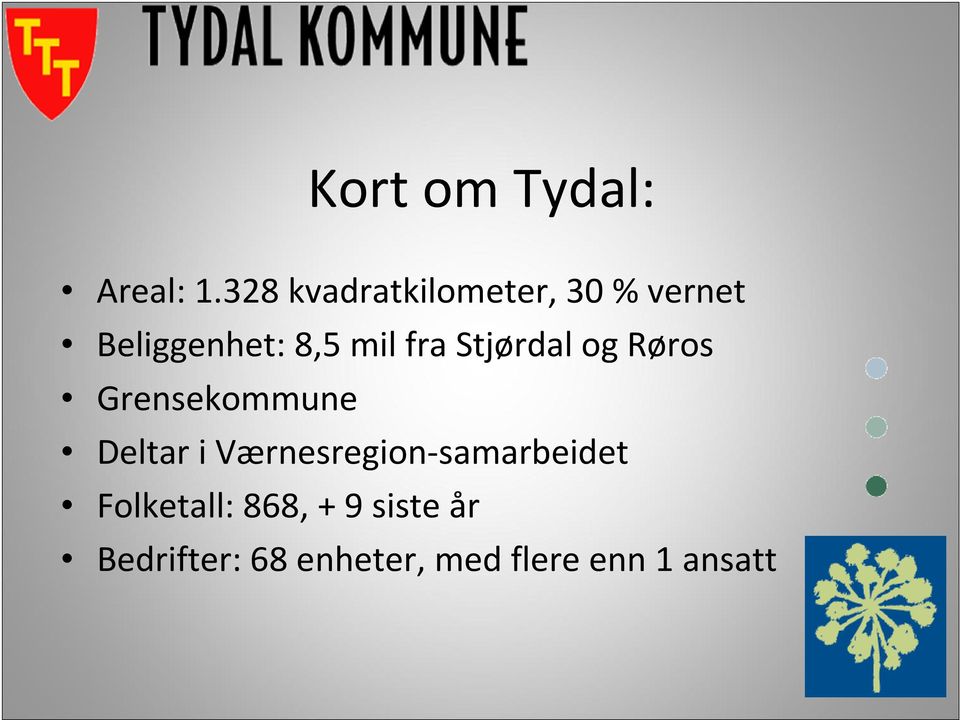 fra Stjørdal og Røros Grensekommune Deltar i