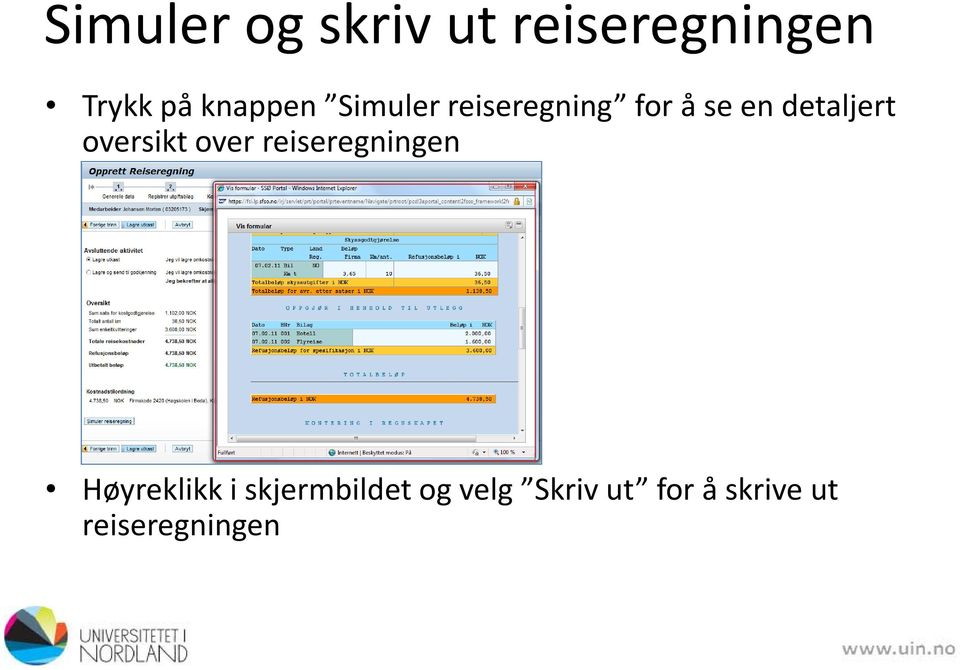 detaljert oversikt over reiseregningen Høyreklikk