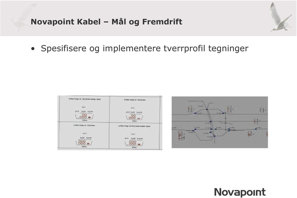 Spesifisere og