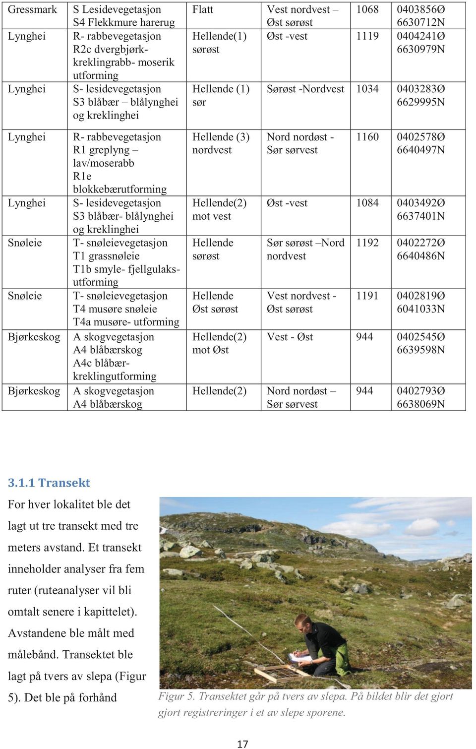 T1 grassnøleie T1b smyle- fjellgulaksutforming T- snøleievegetasjon T4 musøre snøleie T4a musøre- utforming A skogvegetasjon A4 blåbærskog A4c blåbærkreklingutforming A skogvegetasjon A4 blåbærskog