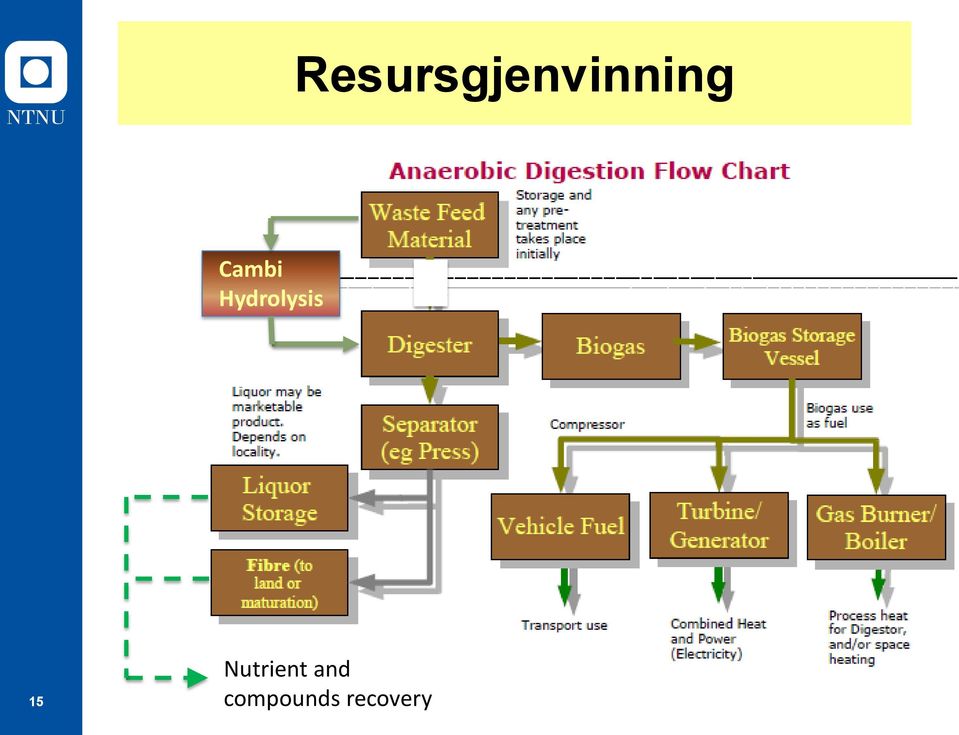 15 Nutrient and