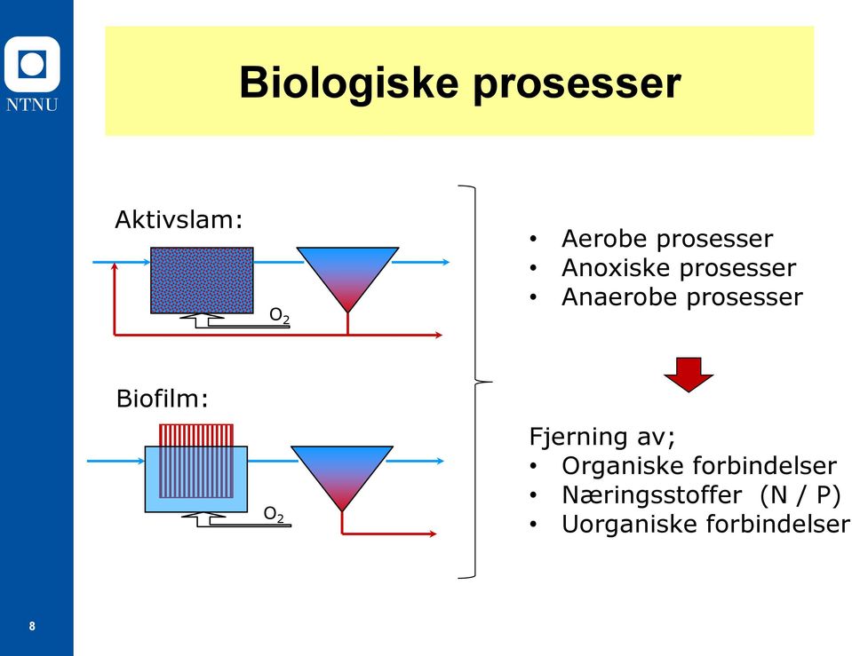 prosesser Biofilm: O 2 Fjerning av; Organiske