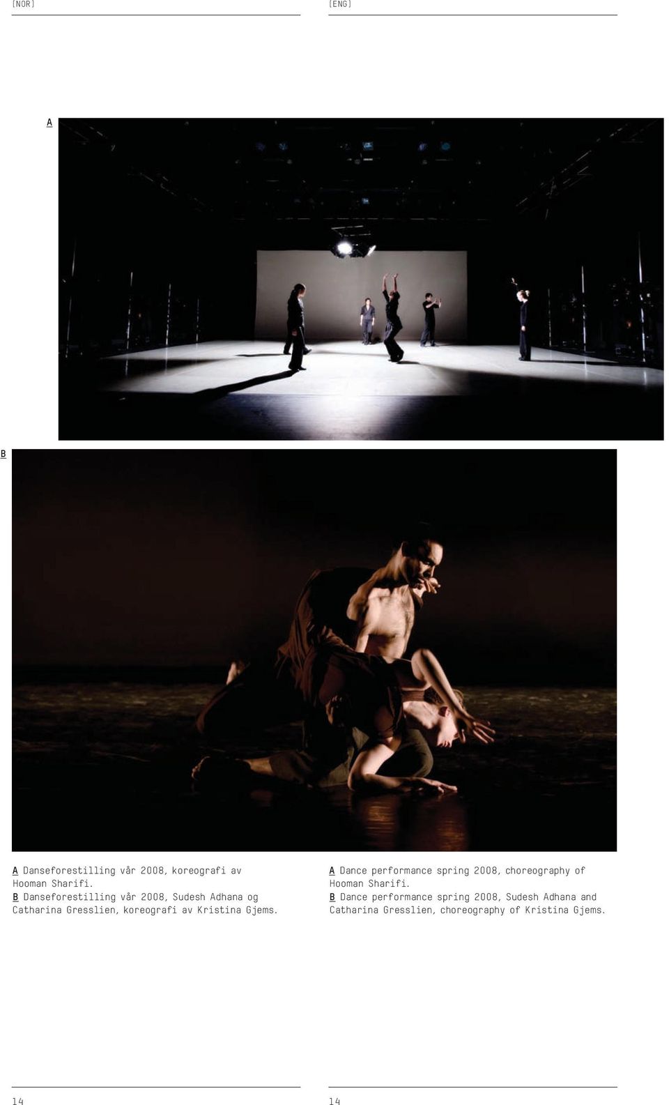 Kristina Gjems. A Dance performance spring 2008, choreography of Hooman Sharifi.