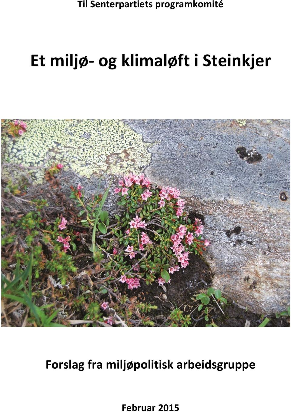 klimaløft i Steinkjer Forslag