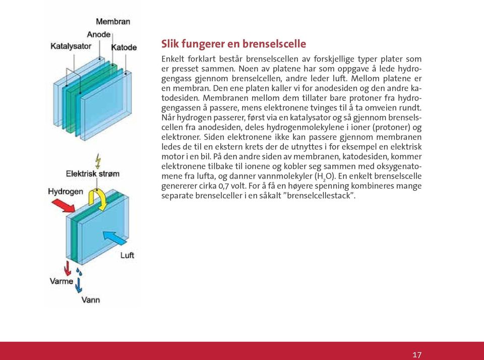 Membranen mellom dem tillater bare protoner fra hydrogengassen å passere, mens elektronene tvinges til å ta omveien rundt.