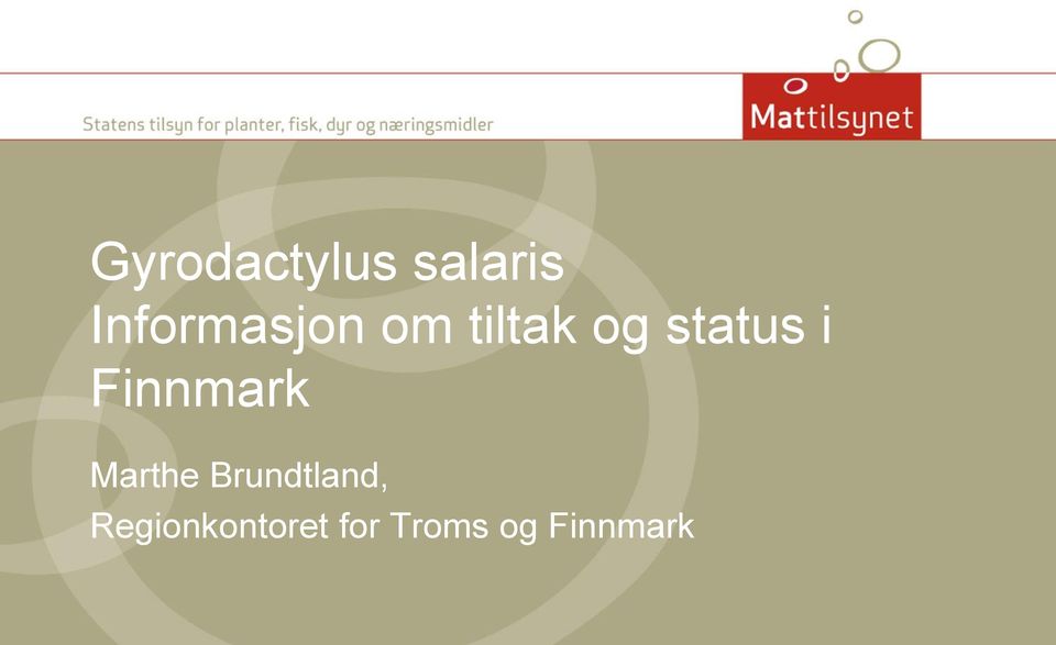status i Finnmark Marthe