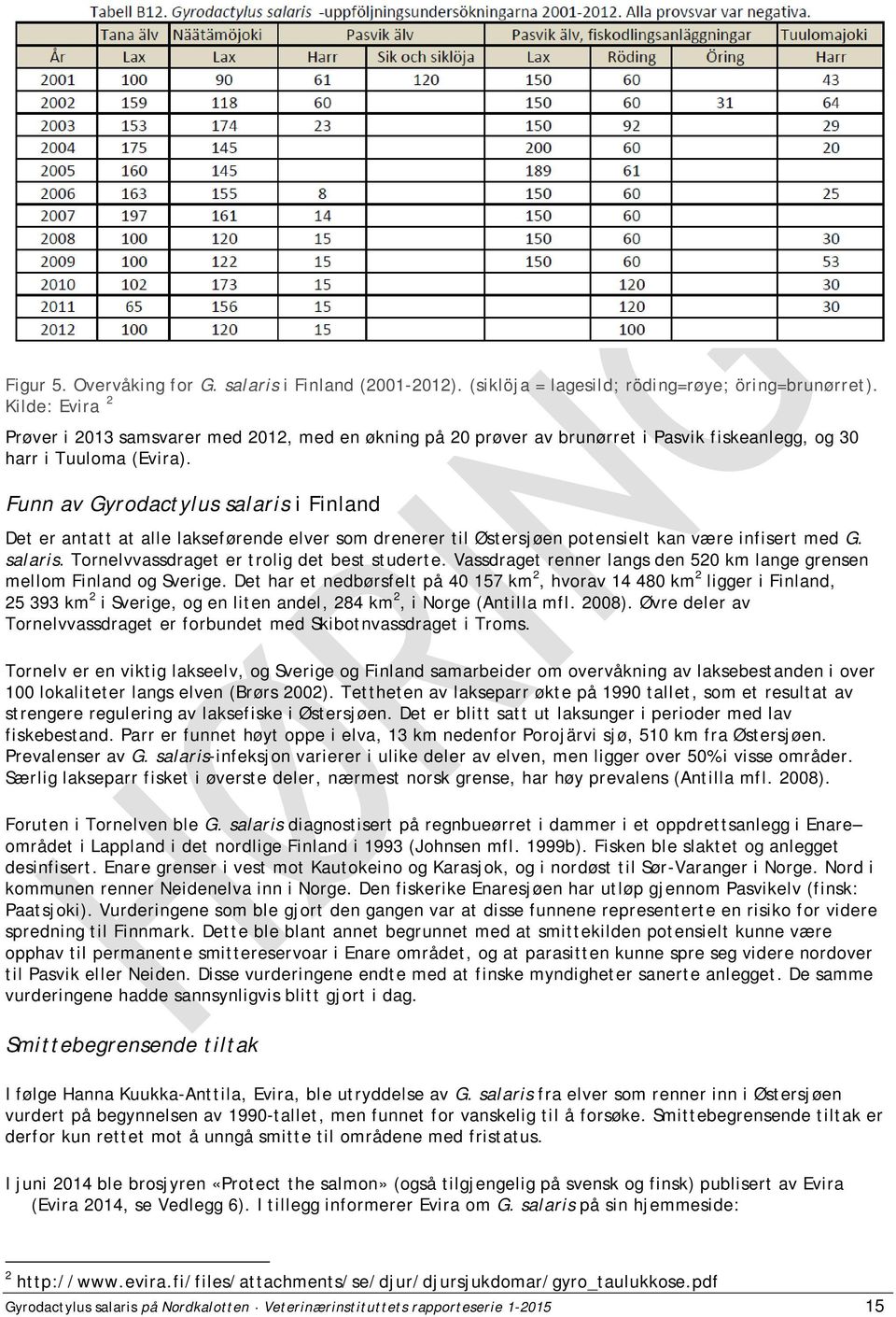 Funn av Gyrodactylus salaris i Finland Det er antatt at alle lakseførende elver som drenerer til Østersjøen potensielt kan være infisert med G. salaris. Tornelvvassdraget er trolig det best studerte.