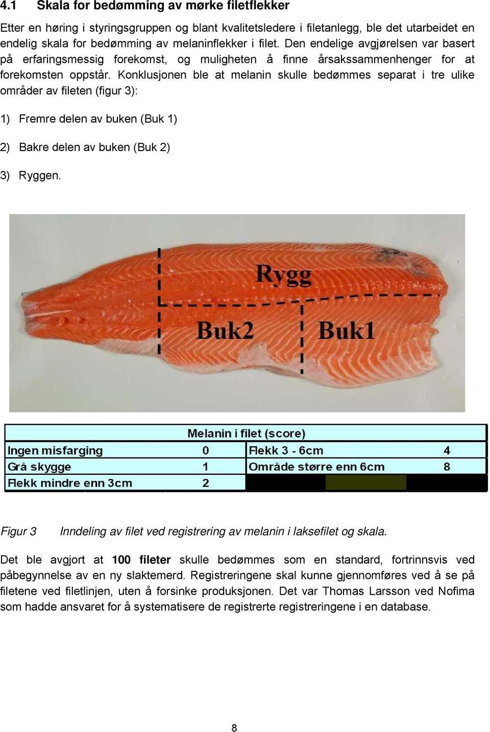 Konklusjonen ble at melanin skulle bedømmes separat i tre ulike områder av fileten (figur 3): 1) Fremre delen av buken (Buk 1) 2) Bakre delen av buken (Buk 2) 3) Ryggen.