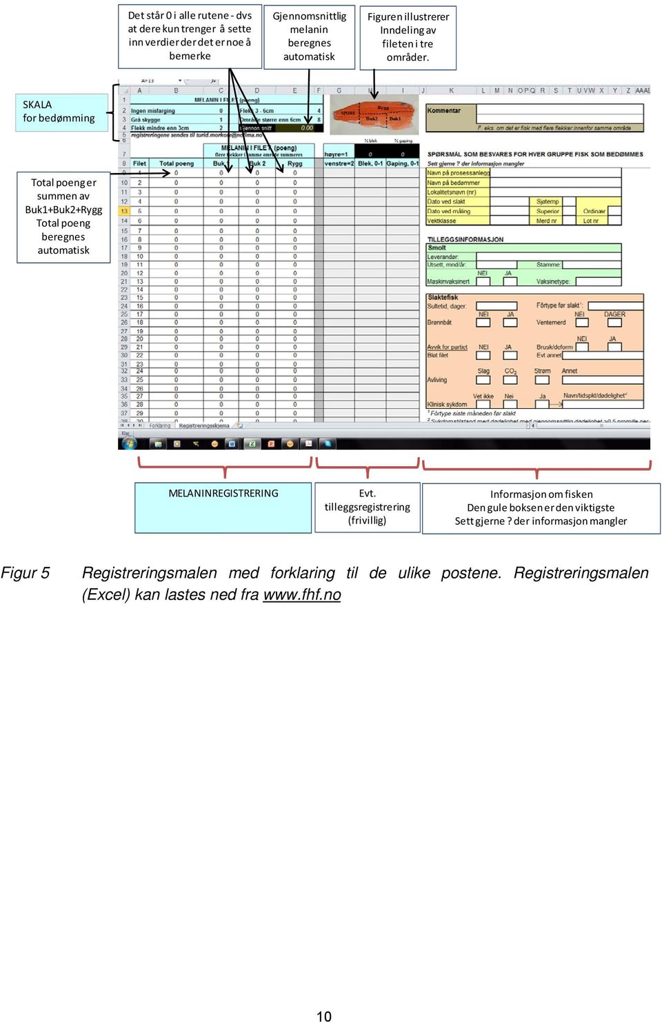 SKALA for bedømming Total poeng er summen av Buk1+Buk2+Rygg Total poeng beregnes automatisk MELANINREGISTRERING Evt.