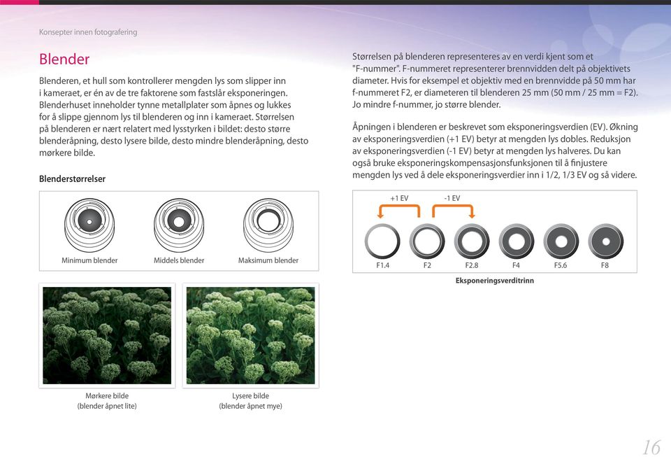 Størrelsen på blenderen er nært relatert med lysstyrken i bildet: desto større blenderåpning, desto lysere bilde, desto mindre blenderåpning, desto mørkere bilde.