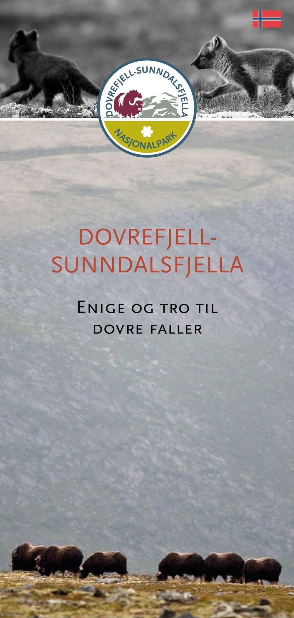 SUNNDALSFJELLA