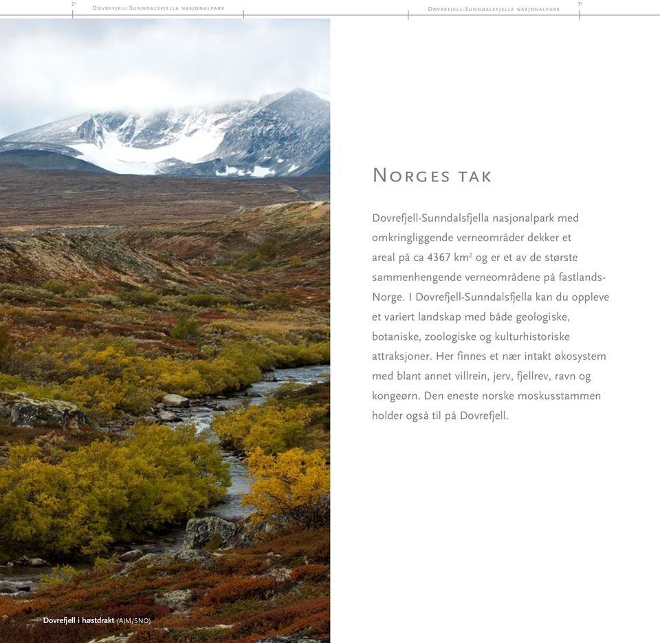 I Dovrefjell-Sunndalsfjella kan du oppleve et variert landskap med både geologiske, botaniske, zoologiske og