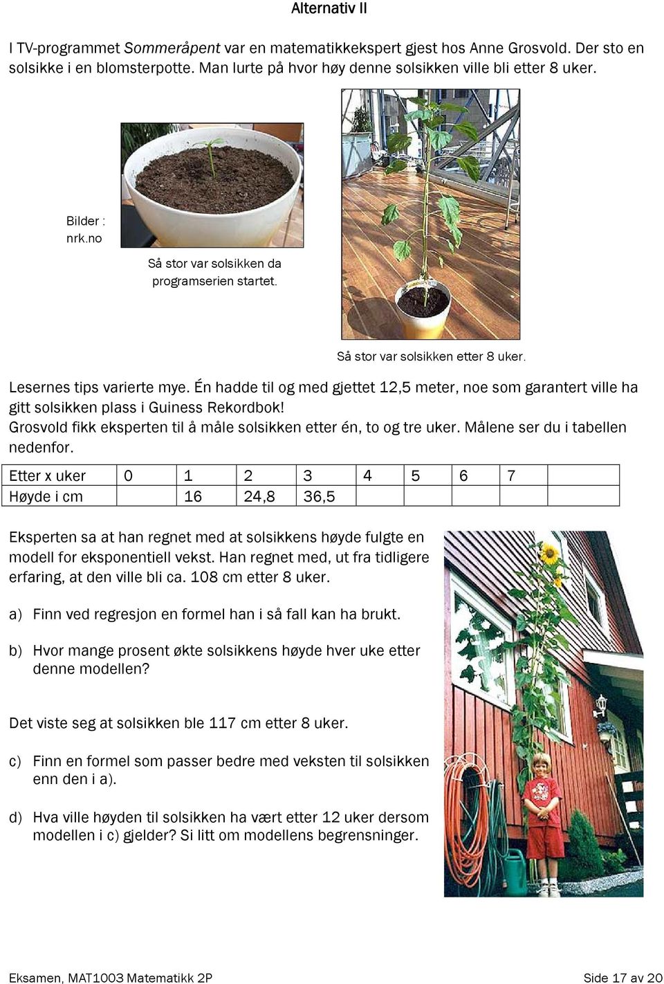 Én hadde til og med gjettet 12,5 meter, noe som garantert ville ha gitt solsikken plass i Guiness Rekordbok! Grosvold fikk eksperten til å måle solsikken etter én, to og tre uker.