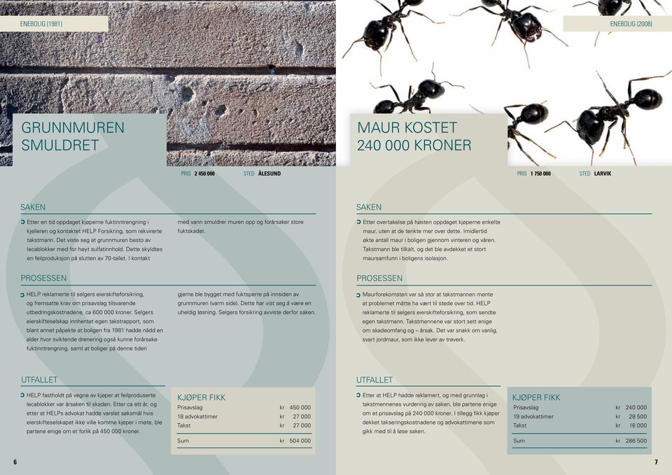 Det viste seg at grunnmuren besto av økte antall maur i boligen gjennom vinteren og våren. lecablokker med for høyt sulfatinnhold.