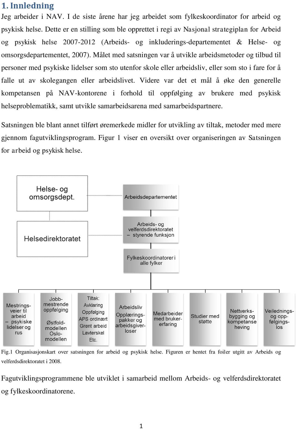 Målet med satsningen var å utvikle arbeidsmetoder og tilbud til personer med psykiske lidelser som sto utenfor skole eller arbeidsliv, eller som sto i fare for å falle ut av skolegangen eller